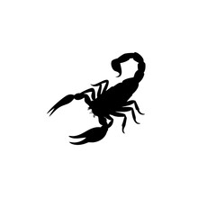 scorpion silhouette