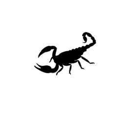 scorpion silhouette