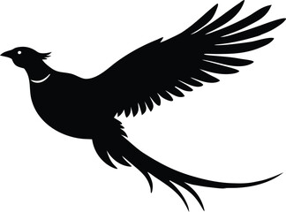 Black flying pheasant on white background