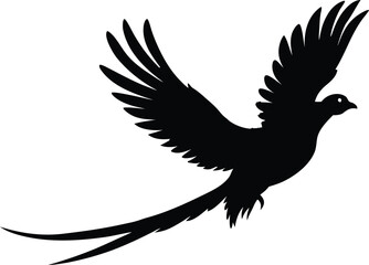Obraz premium Flying pheasant silhouette vector illustration