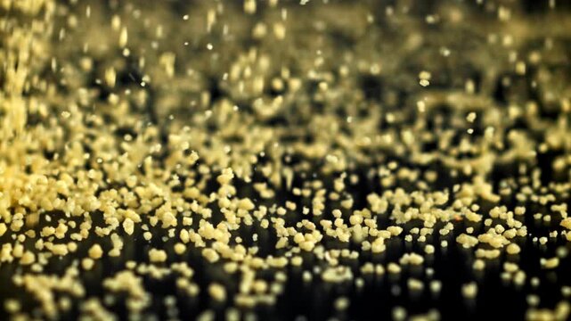 Wheat groats fall on the table. Filmed on a high-speed camera at 1000 fps. High quality FullHD footage