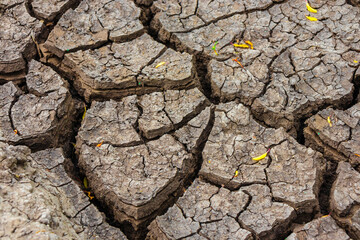 Large and deep cracks in dry soil during drought