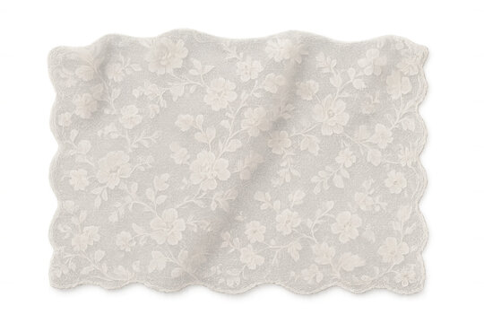 White lace textile with elegant floral embroidery pattern, delicate fabric swatch featuring decorative scalloped edge, transparent background
