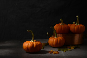 autumn still life of small pumpkins