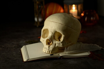 skull on a book with writing quill