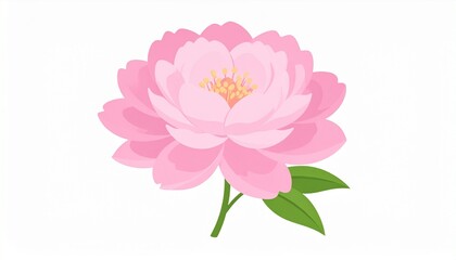 Fototapeta premium Beautiful Pink Peony Flower Illustration with Green Leaves.