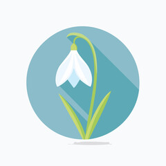 Flat Design Illustration of a Snowdrop Flower