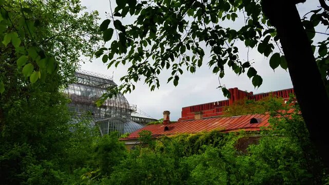 Outdoor eye-level shot capturing the weathered red metal roof of a historic building and the curved glass architecture of a large greenhouse, viewed through a dark frame of dense, vibrant green leaves