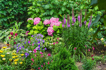 a fragment of a flower bed on the ground in a garden containing many different flowers, large and small