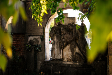 Old cemetery monument framed by green leaves and soft afternoon light
