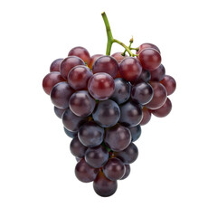 Bunch of Purple Grapes