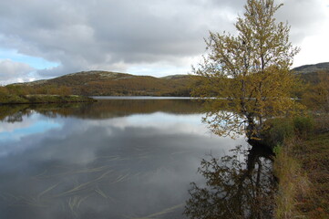 A picturesque lake in the Finnish tundra, Sami territory, amazing nature, Karelia, fantastic landscapes, fishing, tourism.