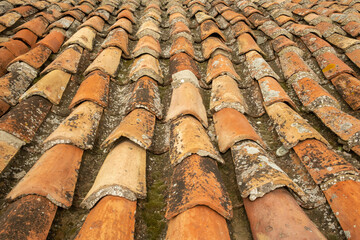 Terracotta roof tiles create a rustic texture in an old building under a clear sky in a historical town center