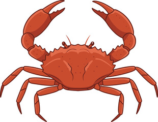 Red Crab Vector Illustration with Detailed Claws, Legs, and Textured Shell for Marine Life, Seafood, Biology, Educational, and Ocean-Themed Graphic Design Use
