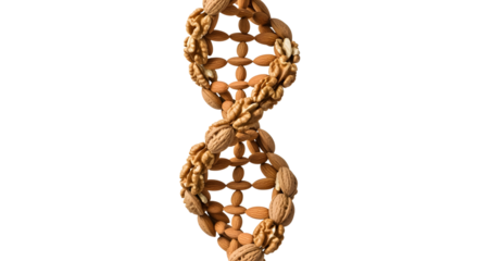 Unique DNA structure made of almonds and walnuts represents health and nutrition