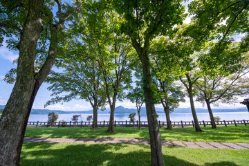 Fototapeta premium A refreshing summer view of the trees and blue sky along Lake Toya