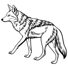 coyote-vector--