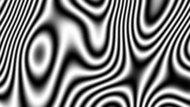 Moving dense fringe pattern based on simplex (Perlin) noise, seamless infinite loop. Mathematical remapping of gradient noise, black and white, scientific background video