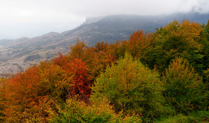 Autumn in the Ergoiena Valley, Navarre
