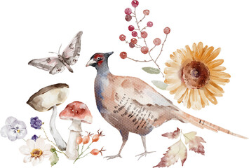 Watercolor Illustration Botanical Arrangement with pheasant,  mushroom, butterfly and flowers. Cozy autumn design. Whimsical vintage element in cottagecore style for invitation.