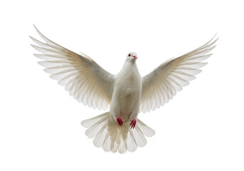 Elegant white dove with open wings isolated PNG, symbol of peace and freedom on transparent background