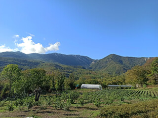 beautiful mountain landscape with garden. autumn time