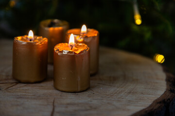candles burning in front of fir tree