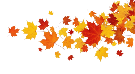 Autumn leaves falling on a transparent background