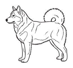 Black outline drawing of a standing husky dog with a curled tail and upright ears, facing sideways.