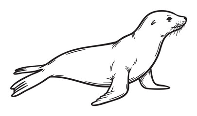 Obraz premium Black outline drawing of a seal in profile, showing its whiskered face, flippers, and streamlined body in a simple, minimal design.