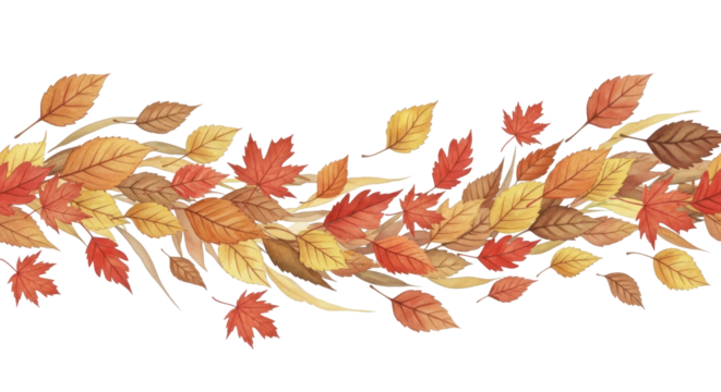 Autumnal Elements: Realistic Falling Leaves for Digital Design on a Transparent Layer.