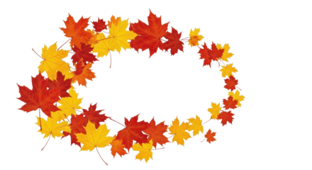 The Quiet Drama of Fall: Leaves Falling Slowly onto a Purely Transparent Overlay.