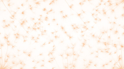 Dandelion seeds isolated on transparent background for your design