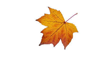 Fototapeta premium Autumn leaves falling on a transparent background