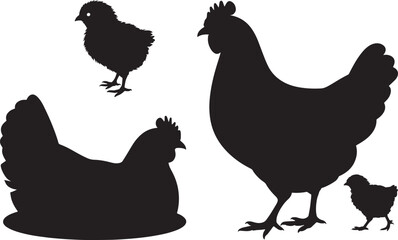 Chicken bird vector silhouettes set, adult hen, rooster, and chick illustrations for farm animals