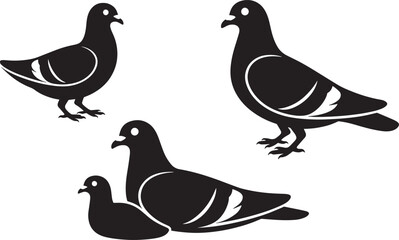 Silhouette Pigeon Doves Urban Birds Collection City Avian Wildlife Vector Set