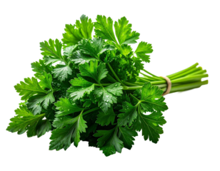 Bund Petersilie, transparenter Hintergrund, PNG
