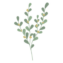 Twig with leaves and yellow berries illustration. Organic natural botanical illustration. Minimal botanical design