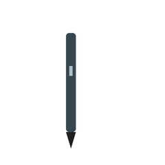 Stylus pen with tip and button