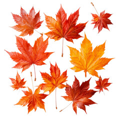 Autumn Leaves Array: A vibrant assortment of autumn leaves, in shades of red, orange, and yellow, beautifully arranged, capturing the essence of the season's colorful transformation.