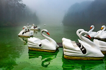 Swan-shaped pedal boat in the Black Lake in a fog day. Gramado is a hot spot tourist city. It’s one of the cities along the scenic route known as Romantic Route. RS, Brazil, 2022
