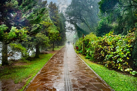 Black Lake's edge in a fog day. Gramado is a hot spot tourist city. It&rsquo;s one of the cities along the scenic route known as Romantic Route. RS, Brazil, 2022