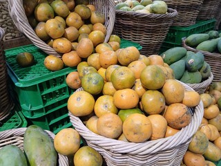 Many green and yellow rip oranges look like balls are piled up in the basket to be sell as organic fruit in the fresh market