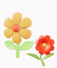 flowers on white background