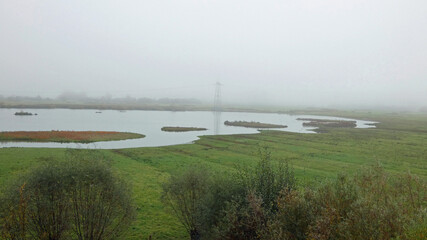 haseldorf binnenelbe, bird protection directive