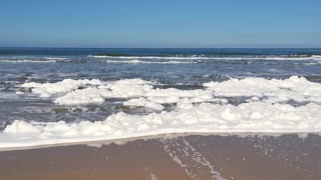 Thick white sea foam covering a sandy beach as ocean waves gently roll in from the background under a clear blue sky, a natural phenomenon caused by algae blooms and agitated seawater