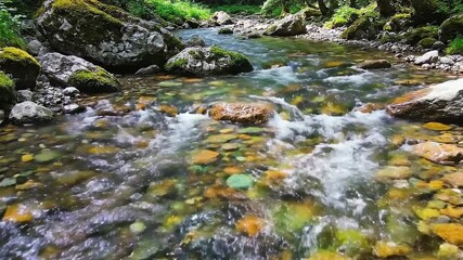 Gentle stream flowing over colorful rocks in peaceful forest setting, perfect for nature documentaries or relaxing travel vlogs