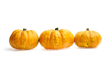 Three vibrant orange pumpkins arranged in a row, showcasing their unique textures and shapes against a clean white background, perfect for seasonal decor and culinary inspiration