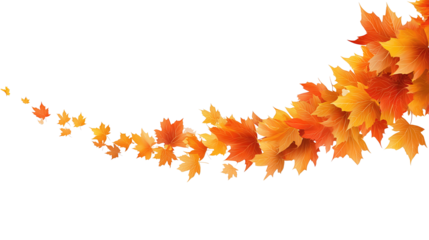Curved maple leaf band with overlapping autumn tones from bronze to orange, elegant seasonal composition, isolated on transparent background
