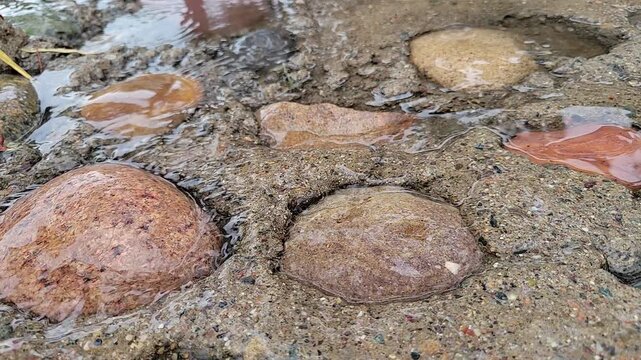 Bright and wet red-brown rocks surrounded by quiet streams of running rain water over hard and lumpy translucent ground surface